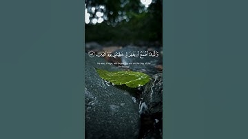 أرح سمعك وقلبك تلاوة خاشعة 🎧🥹🤍🌿 القارئ إسلام صبحي 🌿