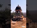 Tiger sitting in the temple, Ranthambore National park