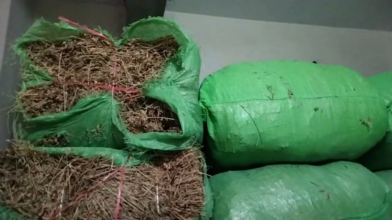 مونگ پھلی کا میسا اور خشک لوسن بکریوں کی خوراک ۔