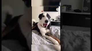 Can you see this???😂😂😂