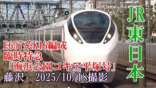 <JR東日本>E657系K16編成臨時特急「海浜公園コキア平塚号」 藤沢 2025/10/18撮影/JR-East E657 series K16 Fujisawa