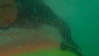 Duck Dive with the GoPro Hero 8