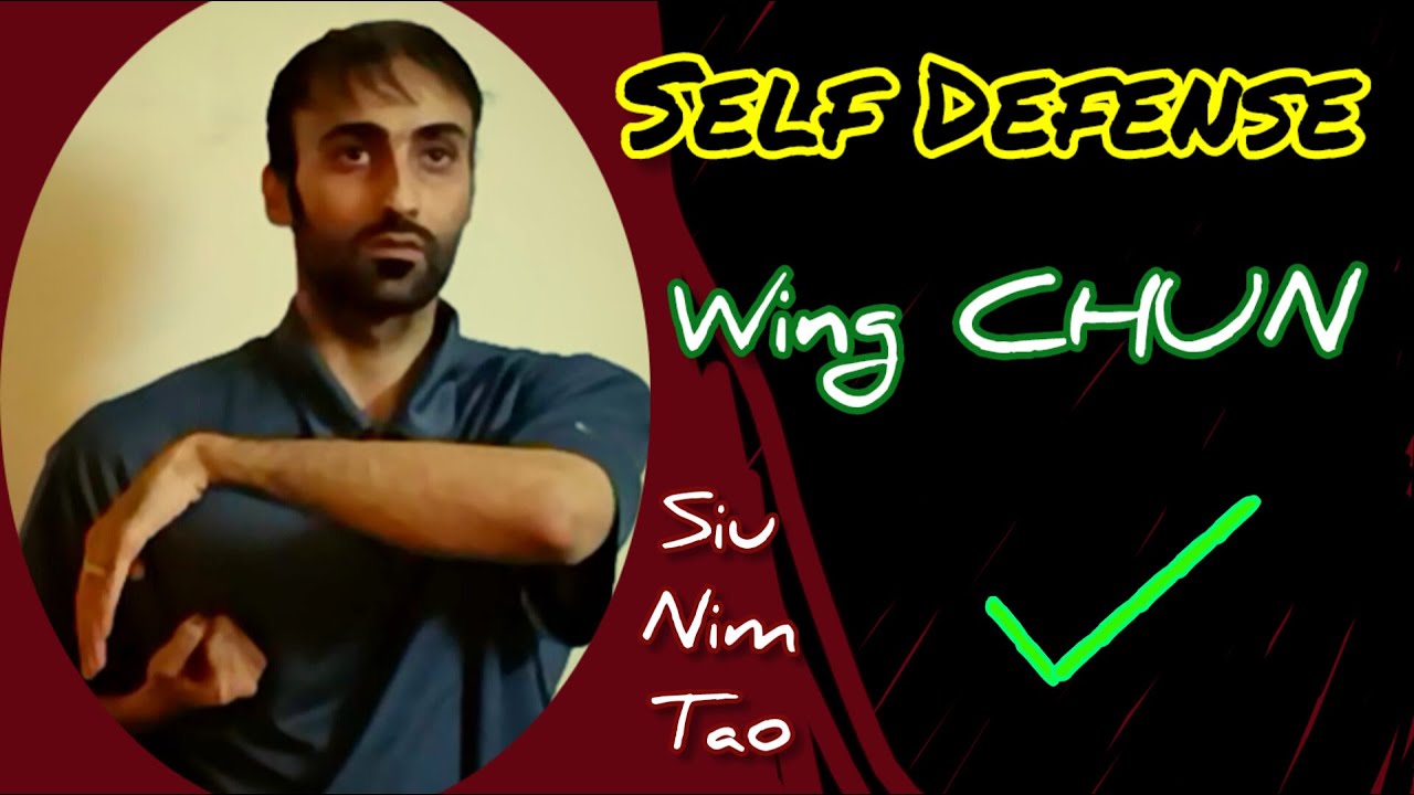 "Wing Chun Siu Nim Tao Gan Sao Bong Sao | Detailed Self Defense Techniques Explained"