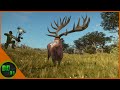Bow Hunting Red Deer in Call of the Wild 🦌