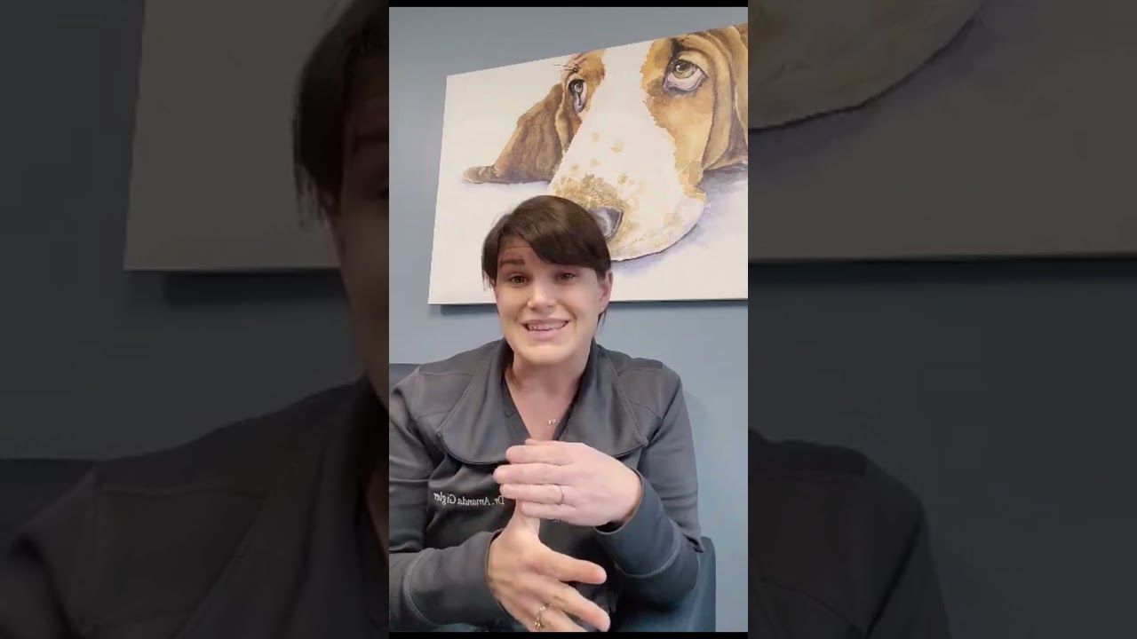 Dr. Gigler discusses Pet Health Insurance
