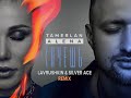 TamerlanAlena - Хочешь (Lavrushkin &amp; Silver Ice Remix)