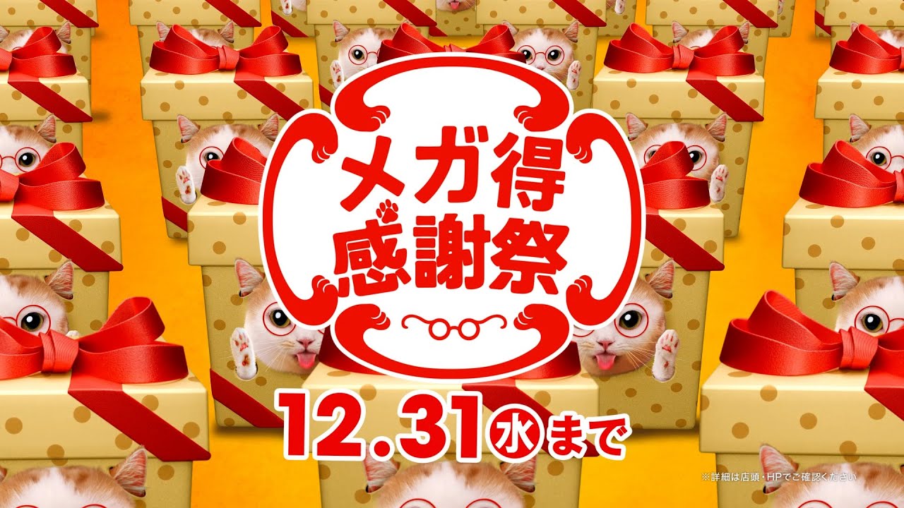 眼鏡市場　メガ得感謝祭２０２５「プレゼント猫」篇
