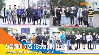 스트레이키즈(STRAYKIDS ), 눈부신 햇살 비주얼 (2019 뮤직뱅크 출근길)[NewsenTV]