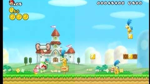 New Super Mario Bros. Wii Codes