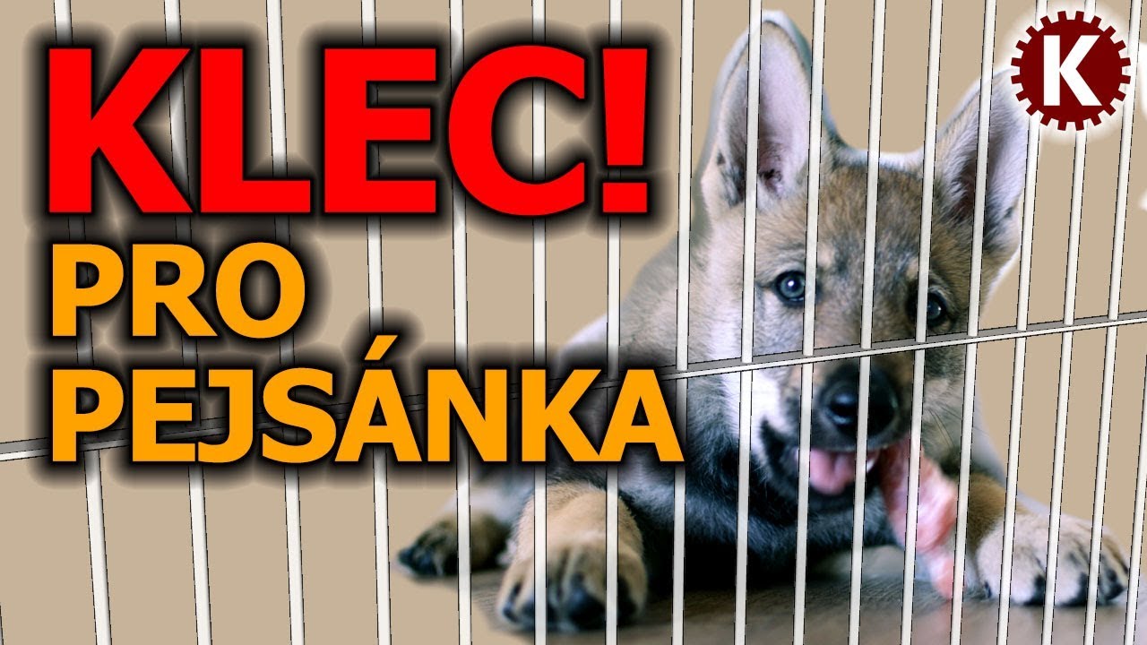 Klec pro psa - TIG projekt