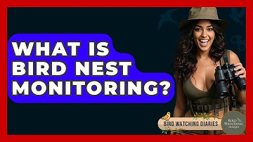 What Is Bird Nest Monitoring? - Bird Watching Diaries