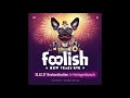 Ebi S Foolish NYE 2017 Warm Up Mix Ebi S Foolish NYE 2017 Warm Up Mix