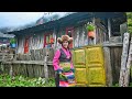 Kanchenjunga  between tibet india  nepal  kanchenjunga base camp tea house trek travel guide 4k