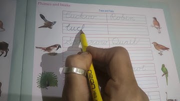 Cursive writing (Plumes and beaks-Page no 5)