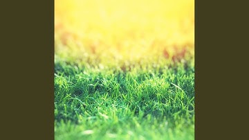 Pulsating Ambience for Happy Moments