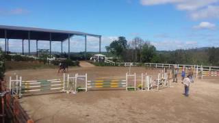 Msml Zebrino 5 Anos 1.10 Prova Treino Haras Jahu