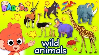 Learn Wild Animals For Kids | Wild Zoo Animals