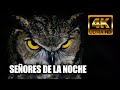 SEÑORES DE LA NOCHE Re-edición 2020