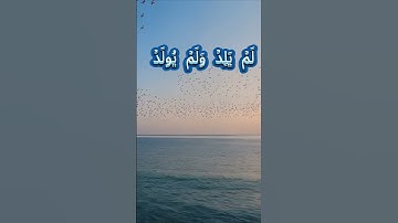 سورة الإخلاص كاملة برواية حفص عن عاصم بصوت القارئ الشيخ رعد محمد الكردي