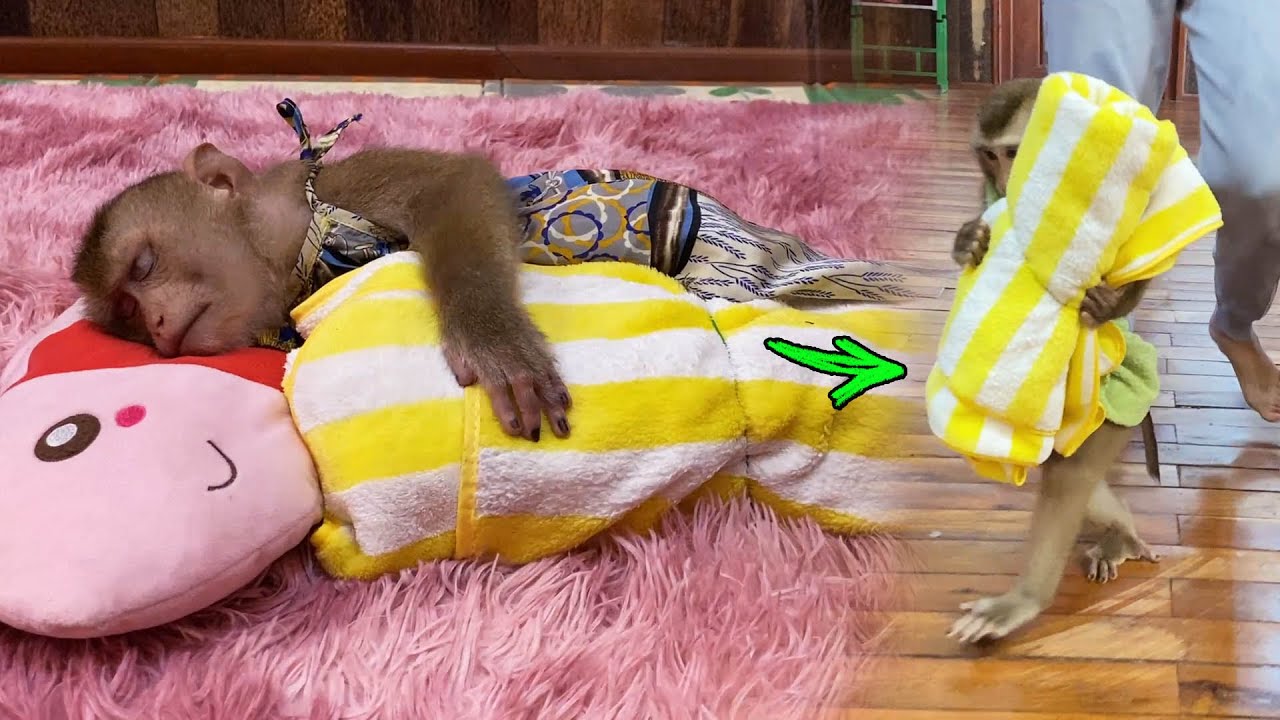 [Blanket Is A MUST] Queen Judee''s Night Time Routine