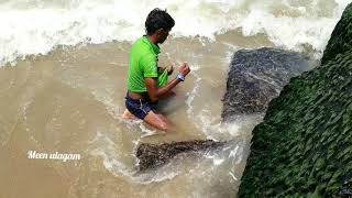 Sea Snail Catching In Inshore