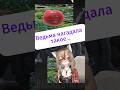 Ведьма такое нагадала... #sleduck #sledovatel #kamysh #shorts  #vtuber #funny #экстрасенс  #twitch