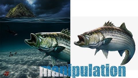 fish photo manipulation-Photoshop Fantasy Manipulation Tutorial