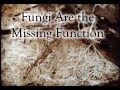 Fungi Are the Missing Permaculture Function