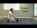 How to Train a dog to Lie "Down" (K9-1.com)