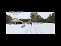 Deserted Glenlivet bike trails 12km in the Snow