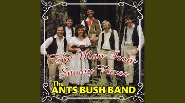 Thumbnail of The Waves of Tory