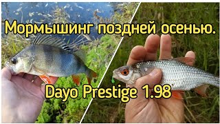 Мормышинг поздней осенью. Dayo Prestige 1.98 / 0,2-0,8 гр.