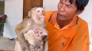 Monkey tin & zueii