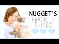 Nugget&#39;s Favorite Things! // Cat Supplies, Toys, + More!