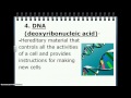 Chapter 10: Genetics and Heredity Quiz