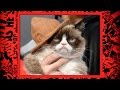 Grumpy cat's fortune - Have I Got News for You: Series 48 Episode 10 - BBC One