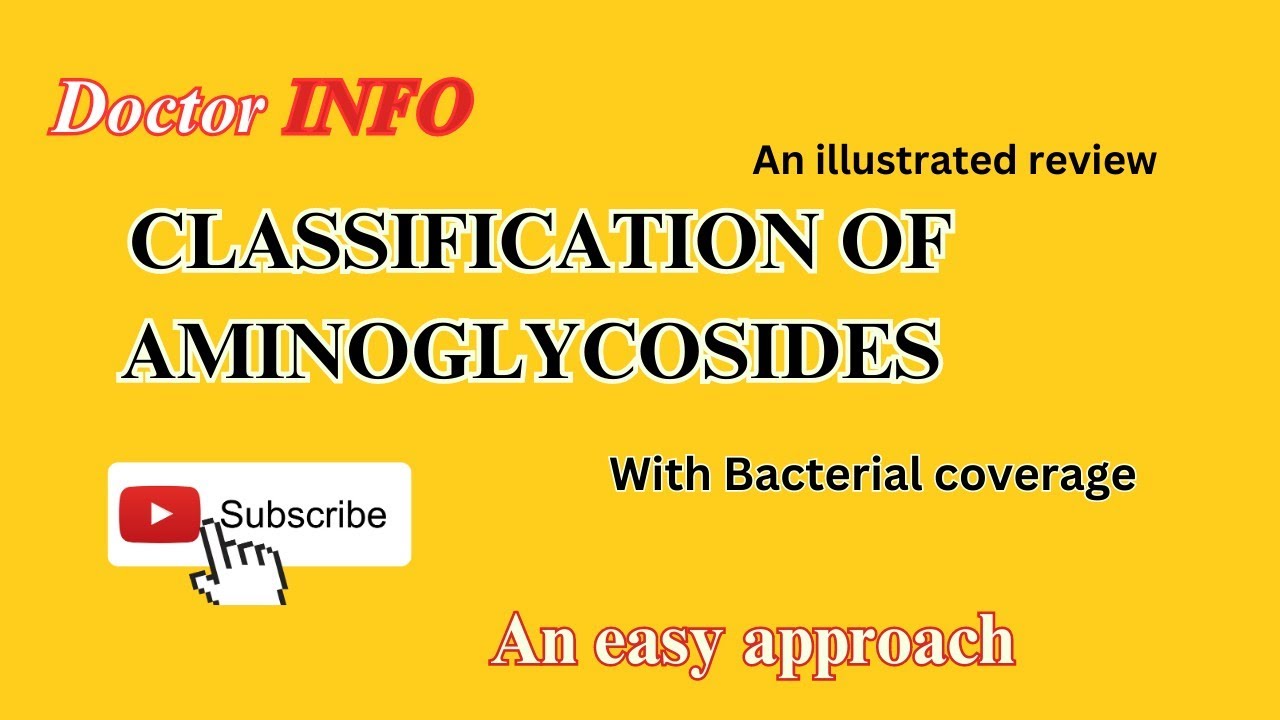 Basic classification of Aminoglycosides | Bacterial coverage ...