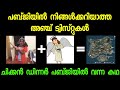 Top 5 Twist Facts in Pubg | PUBG | Malayalam | by varemouse