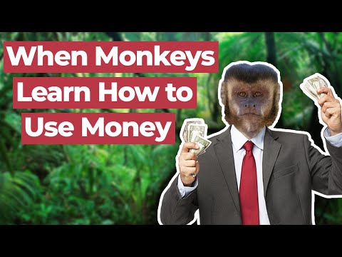What Happens When Monkeys Learn how to Use Money?