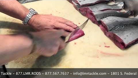 Swordfish Bait from Bonita - LMR Tackle