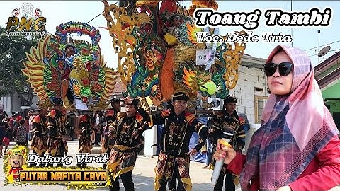 Dalang Viral ❗ TOANG TAMBI Voc. Dede Tria - PUTRA NAFITA CAYA (PNC) || Mekarsari Blok Pilangsari