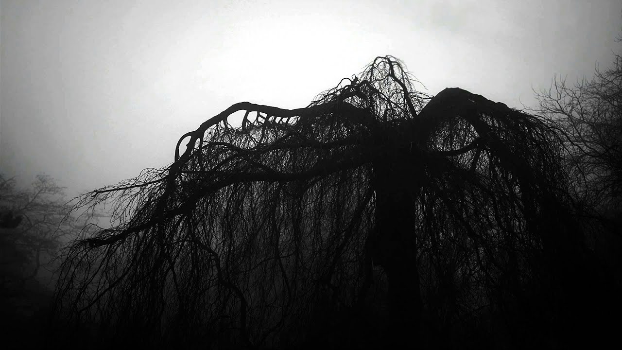 Phagos Sonus & Umber Vamber - Primal Root