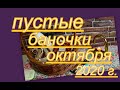 ПУСТЫЕ БАНОЧКИ ОКТЯБРЯ 2020 г.