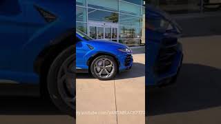 #Lamborghini #Lambo #Ламборгини #shorts #ламборджини #Urus #RAKHIM #хочусебесинийламборгини