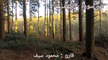 ما تيسر من سوره الكهف l  محمود سيف