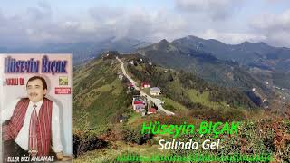 Hüseyin BIÇAK -  Salında Gel Resimi