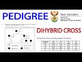 DIHYBRID CROSS &amp; PEDIGREE: GENETICS: GRADE 12 LIFE SCIENCES  BY M.SAIDI