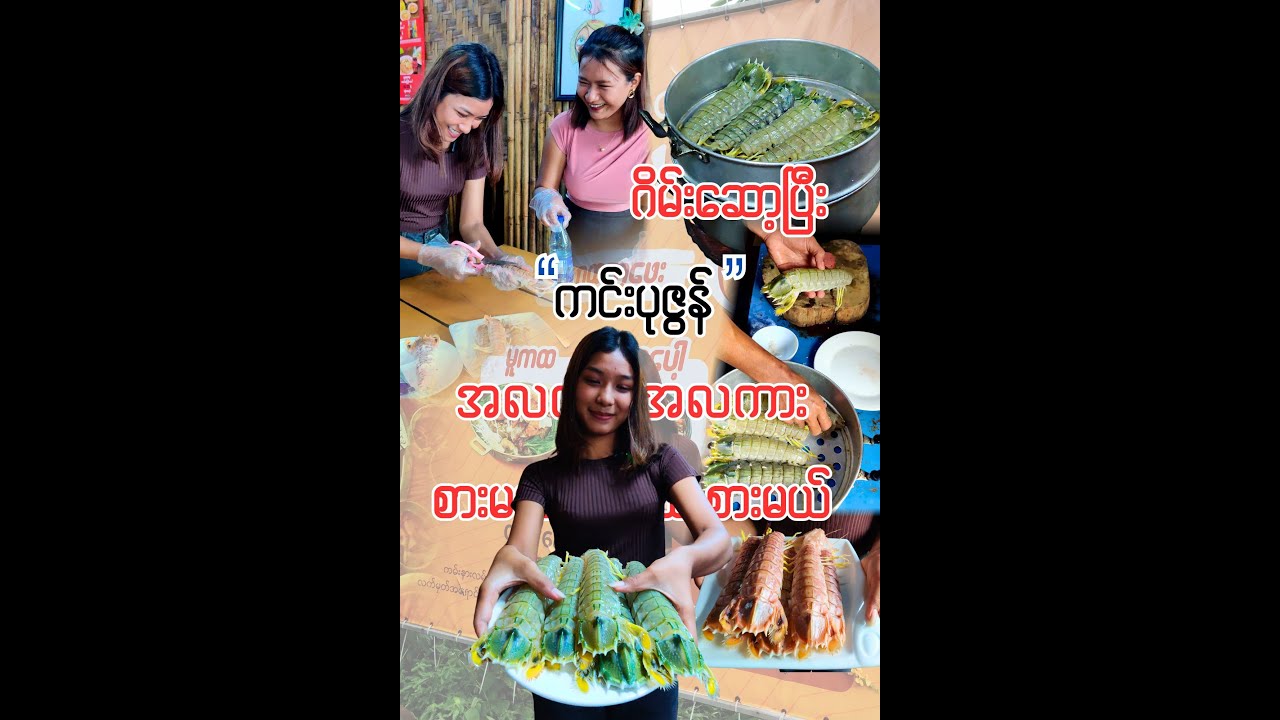 ကင်းပုဇွန်အကိတ်ကြီး // “You Lose, You Watch: Mantis Shrimp Challenge!”