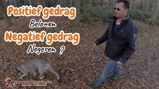 Positief gedrag belonen negatief gedrag negeren