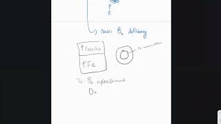 USMLE Crash Course - Sideroblastic Anemia Part 2 - Step 1 / Step 2 CK / COMLEX by Dr. Austin Price - Action Potential Mentoring 80 views 6 months ago 4 minutes, 1 second